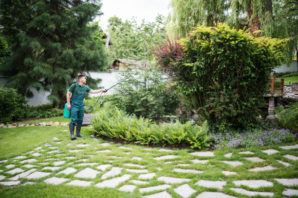 Best Wildlife Control Services  in Mesilla, NM
