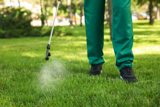 Professional Pest Control in Mesilla, NM