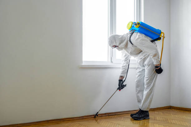 Best Pest Removal Services  in Mesilla, NM