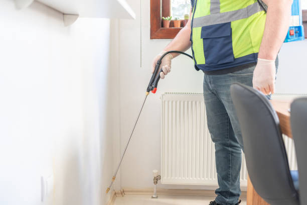 Trusted Mesilla, NM Pest Control Experts