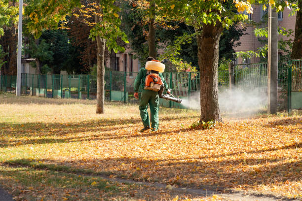 Best Best Pest Control Companies  in Mesilla, NM