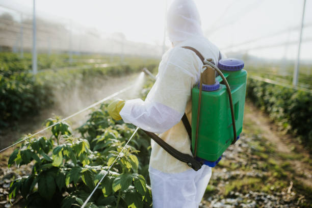 Best Commercial Pest Control Services  in Mesilla, NM
